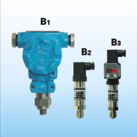 YSJ-B1/B2/B3ѹ������